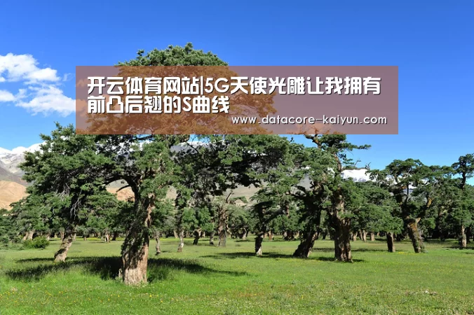 开云体育官网