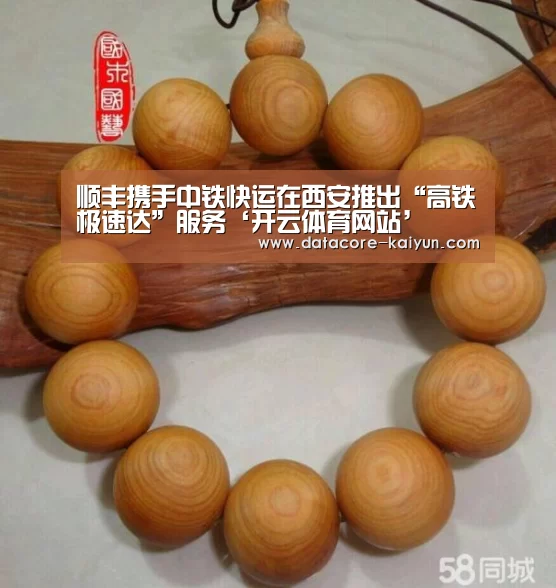 顺丰携手中铁快运在西安推出“高铁极速达”服务‘开云体育网站’