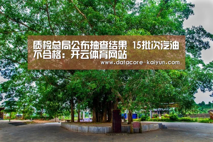 开云体育官网