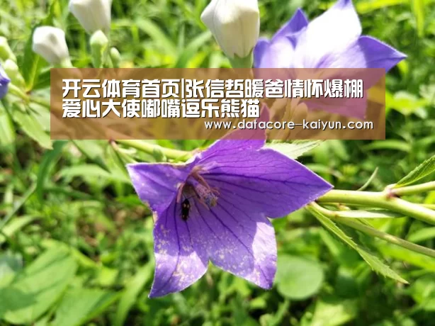 开云体育首页|张信哲暖爸情怀爆棚 爱心大使嘟嘴逗乐熊猫